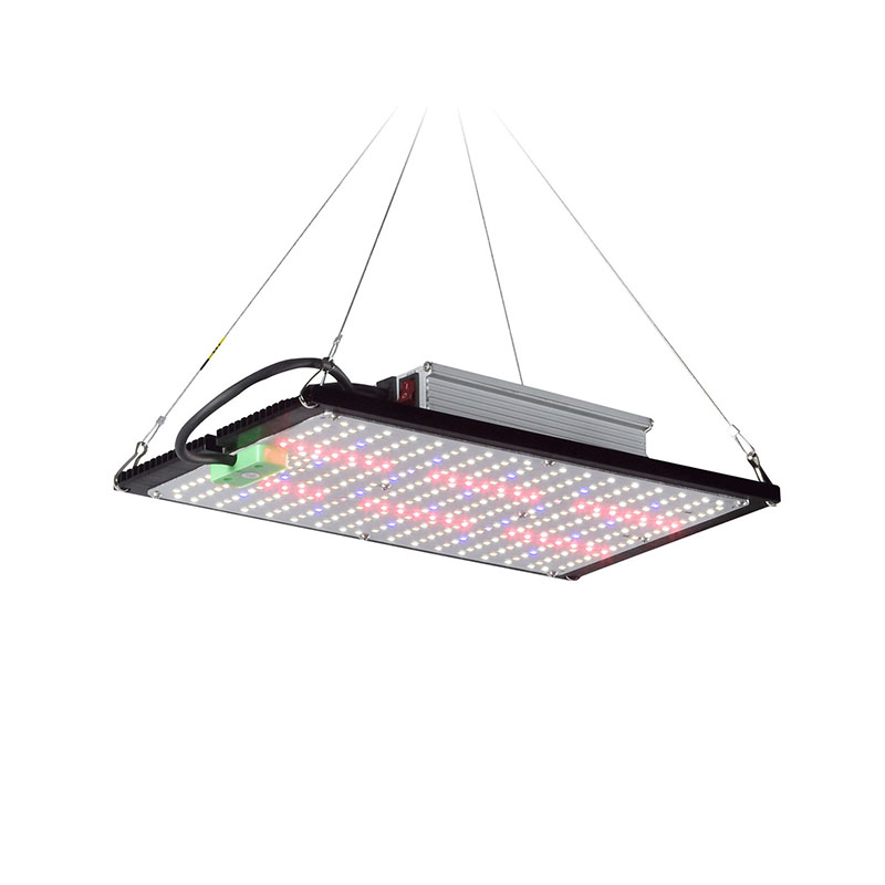 Grow Light Led - Luz de Cultivo LED Quantum-Board de