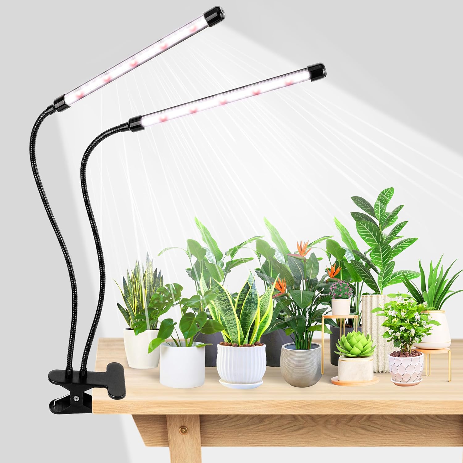 Hydroponic Grow Pod - KEBINCPLED Luz LED de Crescimento para