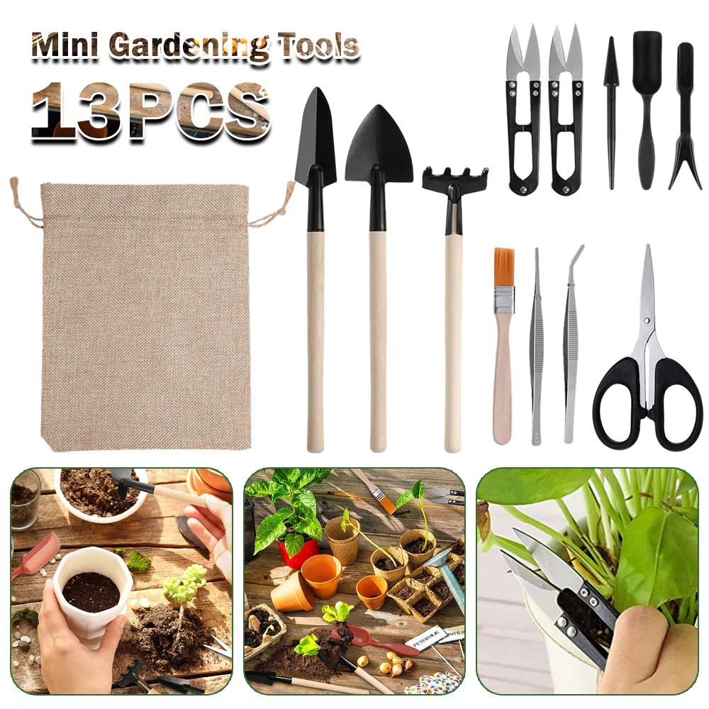 Indoor Garden Kit - Indoor suculentas plantas conjunto de ferramentas,
