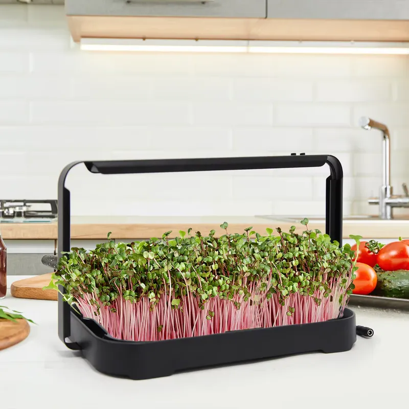 Smart Garden System - Bandeja Hidropônica para Cultivo Interno de