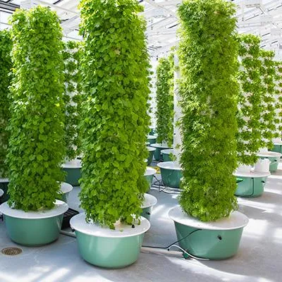 Sistemas de Jardins Aeropônico - Hydroponic Tower avaliação e preço