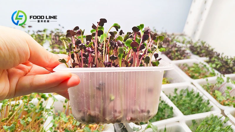 Sistema de Cultivo Hidropônico - Hydroponic Tower avaliação e preço