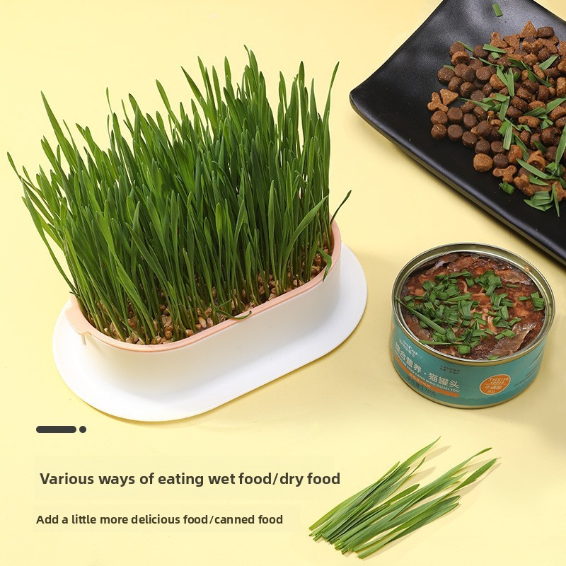 Suprimentos para animais de es - Hydroponic Grow Pod avaliação e preço