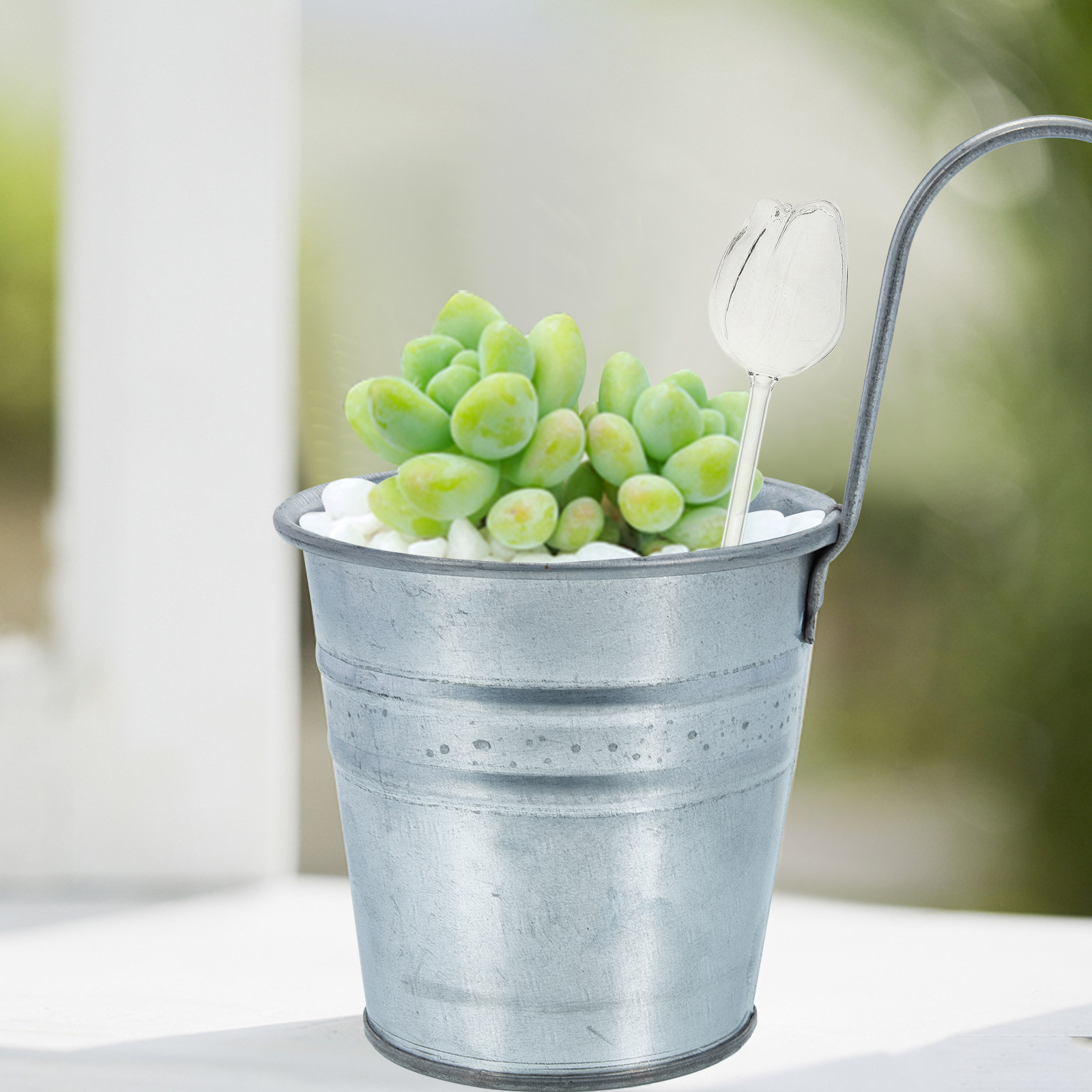 2 unidades de globos de rega e - Self Watering Planter avaliação e preço