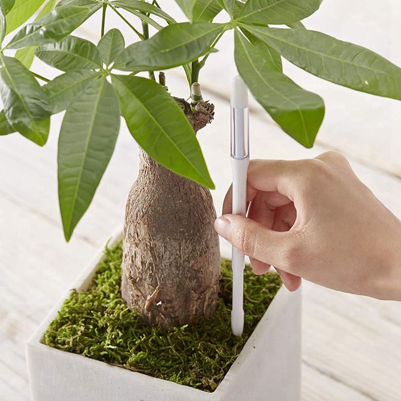 Aquameter, 5 peças, Sensor de  - Plant Sensor avaliação e preço