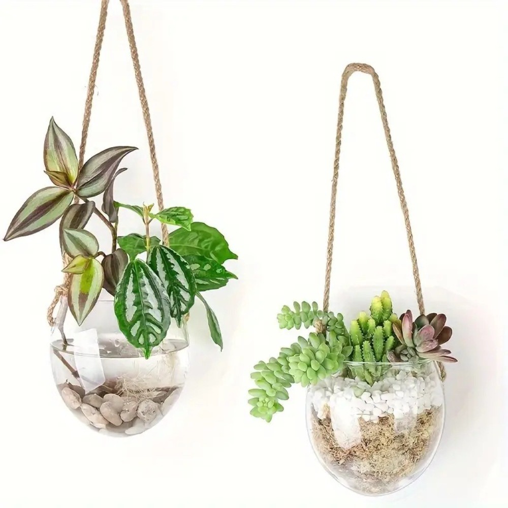 Vaso Hidropônico Transparente  - Hydroponic Grow Pod avaliação e preço