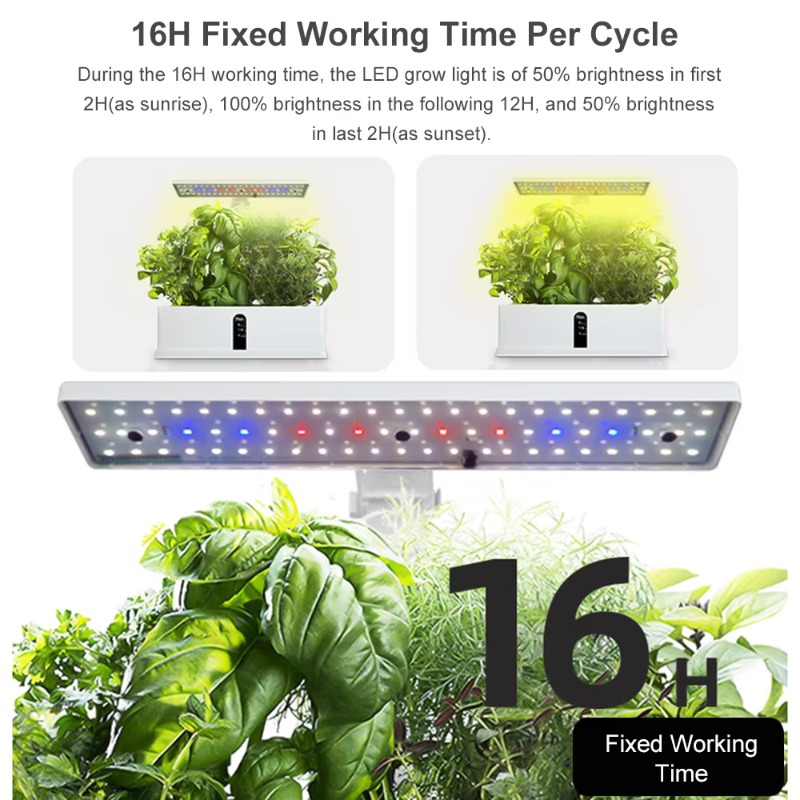 Sistema de Cultivo Hidropônico - Smart Garden System avaliação e preço