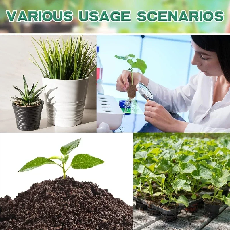 Kit de Esponjas para Germinaçã - Indoor Garden Kit avaliação e preço