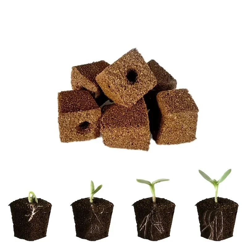 Kit de Esponjas para Germinaçã - Indoor Garden Kit avaliação e preço