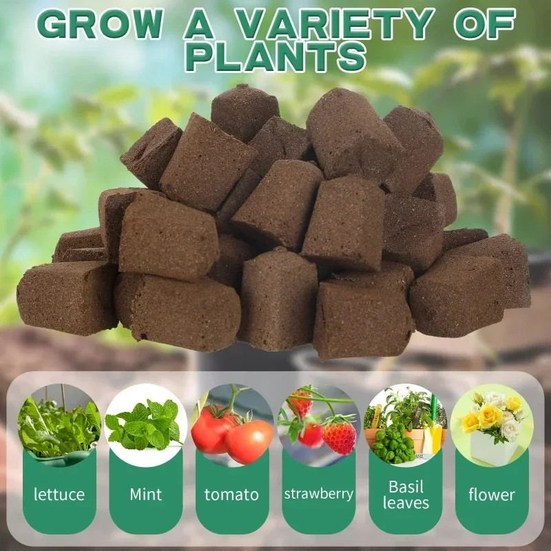 Kit de Esponjas para Germinaçã - Indoor Garden Kit avaliação e preço