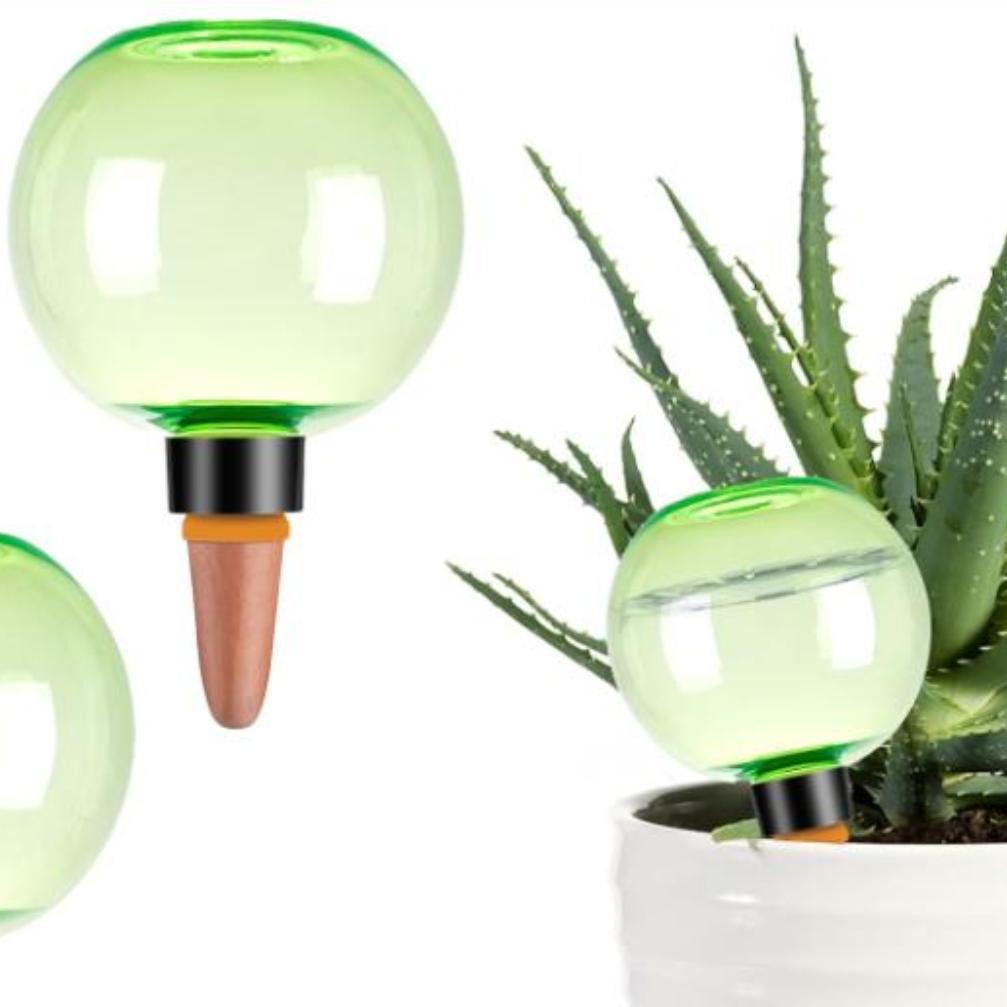 3 Globos Grandes de Autoirriga - Self Watering Planter avaliação e preço