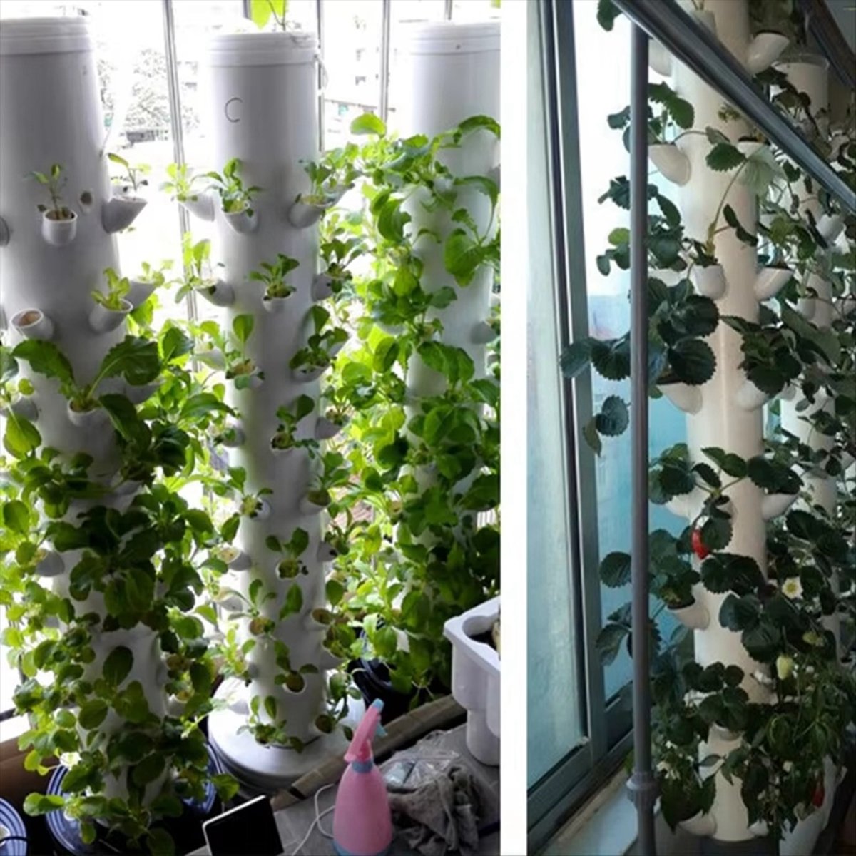 Copo de Plantio Hidropônico Ve - Hydroponic Tower avaliação e preço