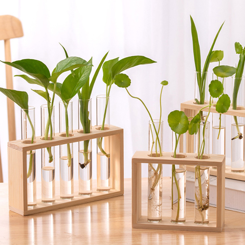 Recipiente de plantas hidropôn - Hydroponic Grow Pod avaliação e preço