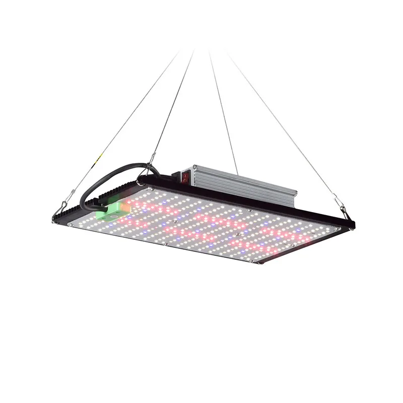 Luz de Cultivo LED Quantum-Boa - Plant Grow Light Full Spectrum avaliação e preço
