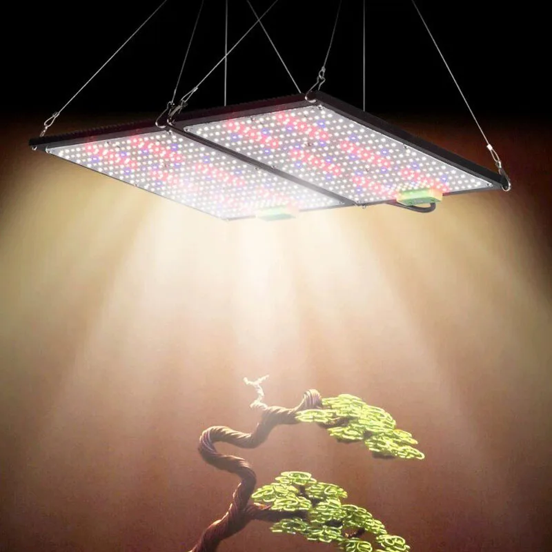 Luz de Cultivo LED Quantum-Boa - Plant Grow Light Full Spectrum avaliação e preço