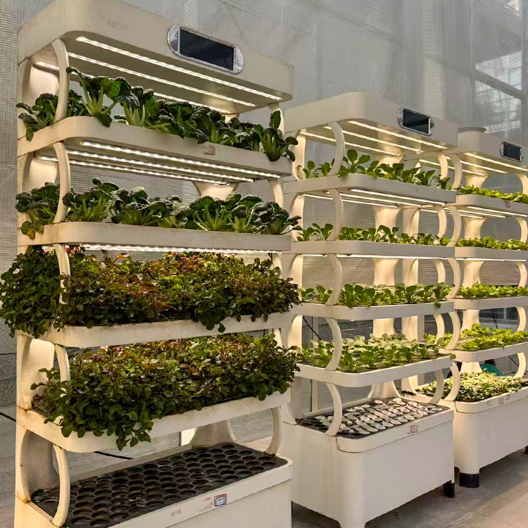 Jardineira inteligente para us - Smart Garden System avaliação e preço