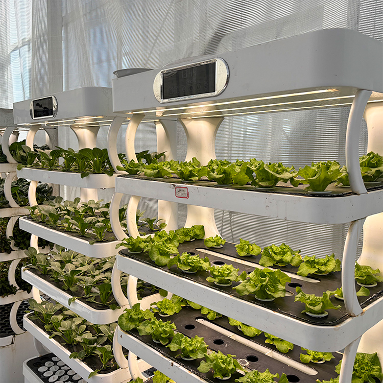 Jardineira inteligente para us - Smart Garden System avaliação e preço